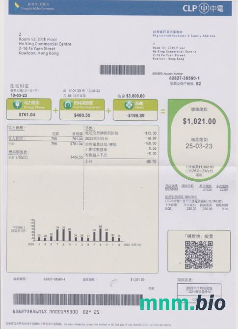 Rachunek za energię elektryczną w Hongkongu CLP w formacie PSD
